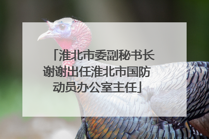 淮北市委副秘书长谢谢出任淮北市国防动员办公室主任