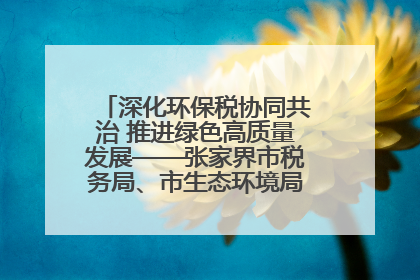 深化环保税协同共治 推进绿色高质量发展——张家界市税务局、市生态环境局签署合作备忘录