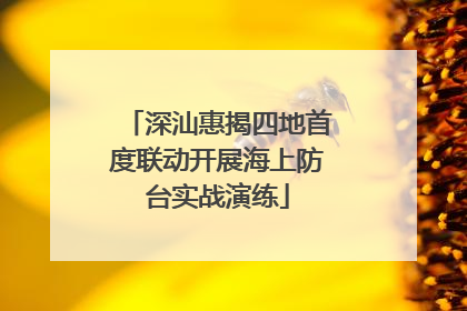 深汕惠揭四地首度联动开展海上防台实战演练
