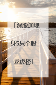 深股通现身5只个股龙虎榜