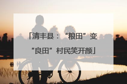清丰县：“粮田”变“良田”村民笑开颜