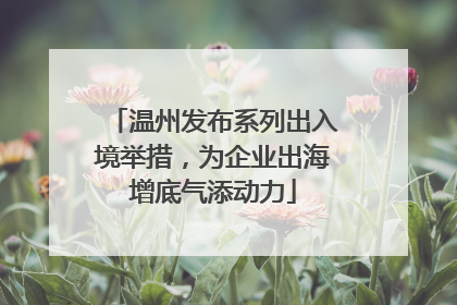 温州发布系列出入境举措，为企业出海增底气添动力