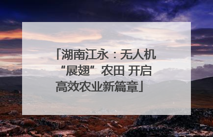 湖南江永：无人机“展翅”农田 开启高效农业新篇章