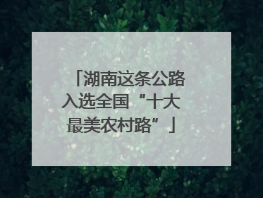 湖南这条公路入选全国“十大最美农村路”
