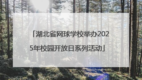 湖北省网球学校举办2025年校园开放日系列活动