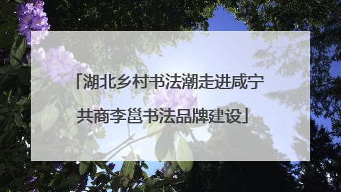 湖北乡村书法潮走进咸宁 共商李邕书法品牌建设