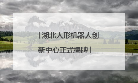 湖北人形机器人创新中心正式揭牌