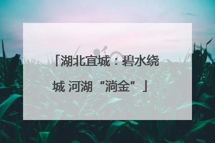 湖北宜城：碧水绕城 河湖“淌金”