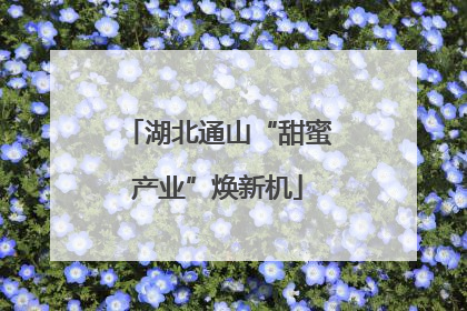 湖北通山“甜蜜产业”焕新机
