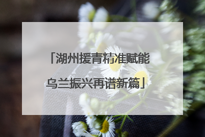 湖州援青精准赋能 乌兰振兴再谱新篇