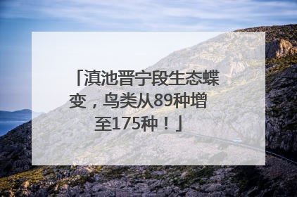 滇池晋宁段生态蝶变，鸟类从89种增至175种！