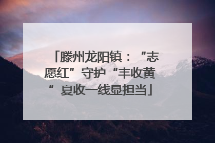 滕州龙阳镇：“志愿红”守护“丰收黄”夏收一线显担当
