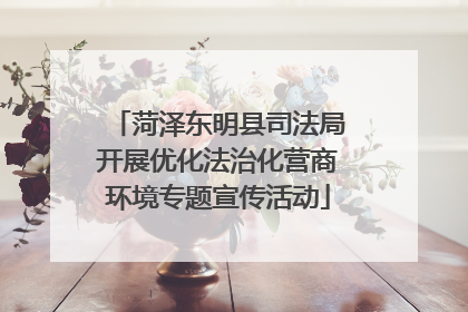 菏泽东明县司法局开展优化法治化营商环境专题宣传活动