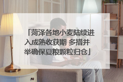 菏泽各地小麦陆续进入成熟收获期 多措并举确保夏粮颗粒归仓