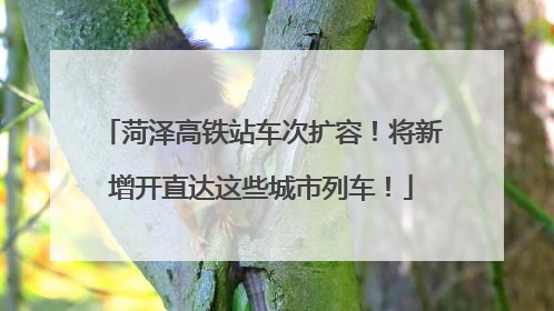 菏泽高铁站车次扩容！将新增开直达这些城市列车！