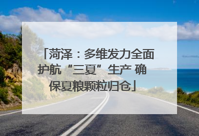 菏泽：多维发力全面护航“三夏”生产 确保夏粮颗粒归仓