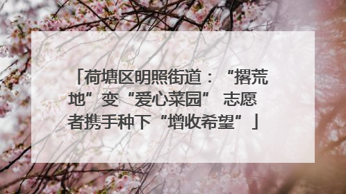 荷塘区明照街道：“撂荒地”变“爱心菜园” 志愿者携手种下“增收希望”