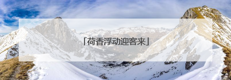 荷香浮动迎客来