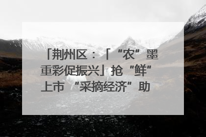 荆州区：「“农”墨重彩促振兴」抢“鲜”上市 “采摘经济”助农“甜蜜增收”