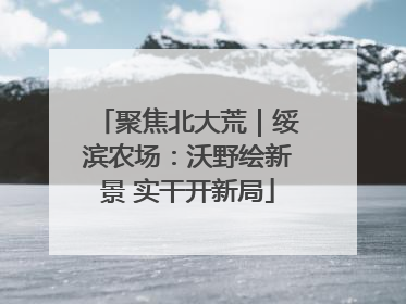 聚焦北大荒｜绥滨农场：沃野绘新景 实干开新局