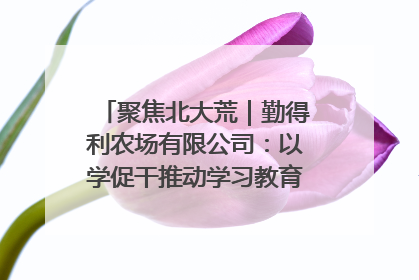 聚焦北大荒｜勤得利农场有限公司：以学促干推动学习教育“升温提速”