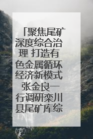 聚焦尾矿深度综合治理 打造有色金属循环经济新模式 张金良一行调研栾川县尾矿库综合治理工作