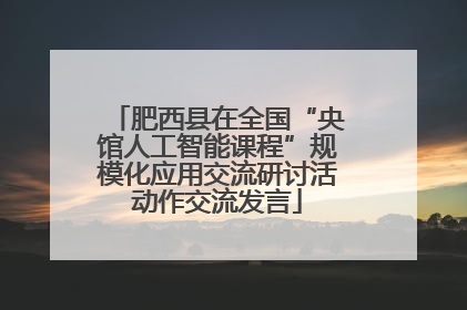 肥西县在全国“央馆人工智能课程”规模化应用交流研讨活动作交流发言