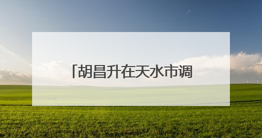 胡昌升在天水市调研时强调：壮大特色产业带动群众增收致富 加强文物保护推动文化创新发展