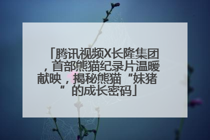 腾讯视频X长隆集团，首部熊猫纪录片温暖献映，揭秘熊猫“妹猪”的成长密码
