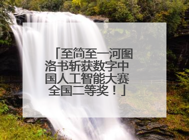 至简至一河图洛书斩获数字中国人工智能大赛全国二等奖！