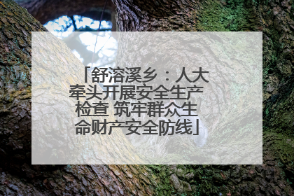 舒溶溪乡：人大牵头开展安全生产检查 筑牢群众生命财产安全防线