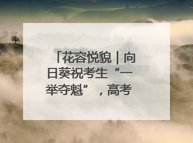 花容悦貌｜向日葵祝考生“一举夺魁”，高考带动鲜花热潮