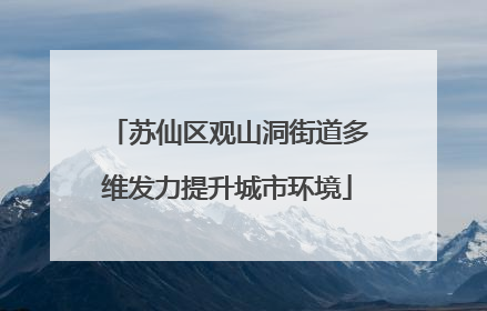 苏仙区观山洞街道多维发力提升城市环境