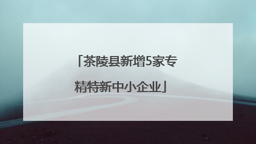 茶陵县新增5家专精特新中小企业