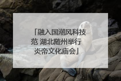 融入国潮风科技范 湖北随州举行炎帝文化庙会