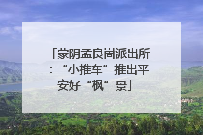 蒙阴孟良崮派出所：“小推车”推出平安好“枫”景
