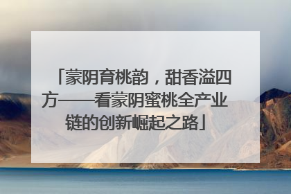 蒙阴育桃韵，甜香溢四方——看蒙阴蜜桃全产业链的创新崛起之路