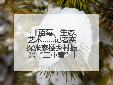 蓝莓、生态、艺术……记者实探张家楼乡村振兴“三重奏”
