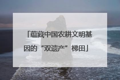 蕴藏中国农耕文明基因的“双遗产”梯田