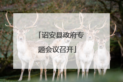 诏安县政府专题会议召开