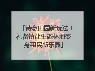 诗意田园新玩法！礼贤镇让生态林地变身惠民新乐园