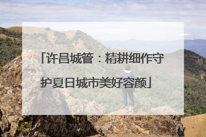 许昌城管：精耕细作守护夏日城市美好容颜