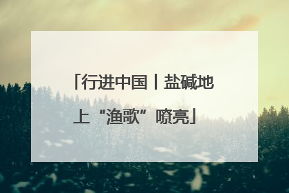行进中国丨盐碱地上“渔歌”嘹亮