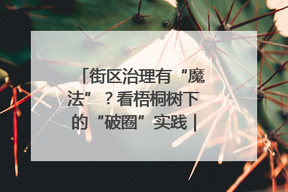 街区治理有“魔法”？看梧桐树下的“破圈”实践｜我在街区当书记