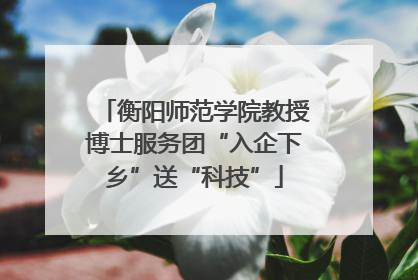 衡阳师范学院教授博士服务团“入企下乡”送“科技”