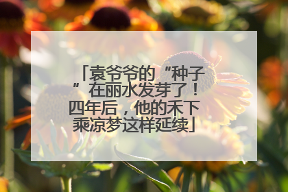 袁爷爷的“种子”在丽水发芽了！四年后，他的禾下乘凉梦这样延续
