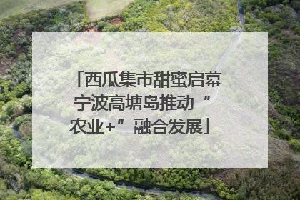 西瓜集市甜蜜启幕 宁波高塘岛推动“农业+”融合发展