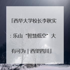 西华大学校长李秋实：乐山“智慧低空”大有可为｜西望四川