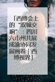 西博会上的“双城交响”：四川六市州共展成渝协同发展画卷｜西博视界