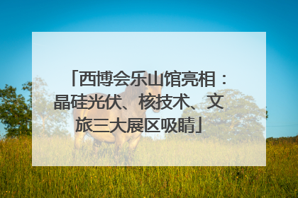 西博会乐山馆亮相：晶硅光伏、核技术、文旅三大展区吸睛
